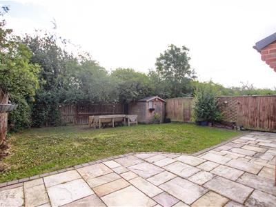 Picture 15